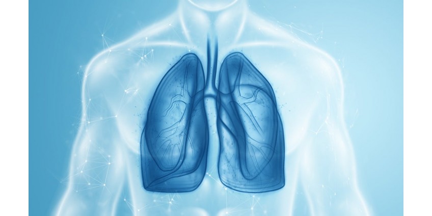 5 Reasons You Must Consider To Detox Your Lungs